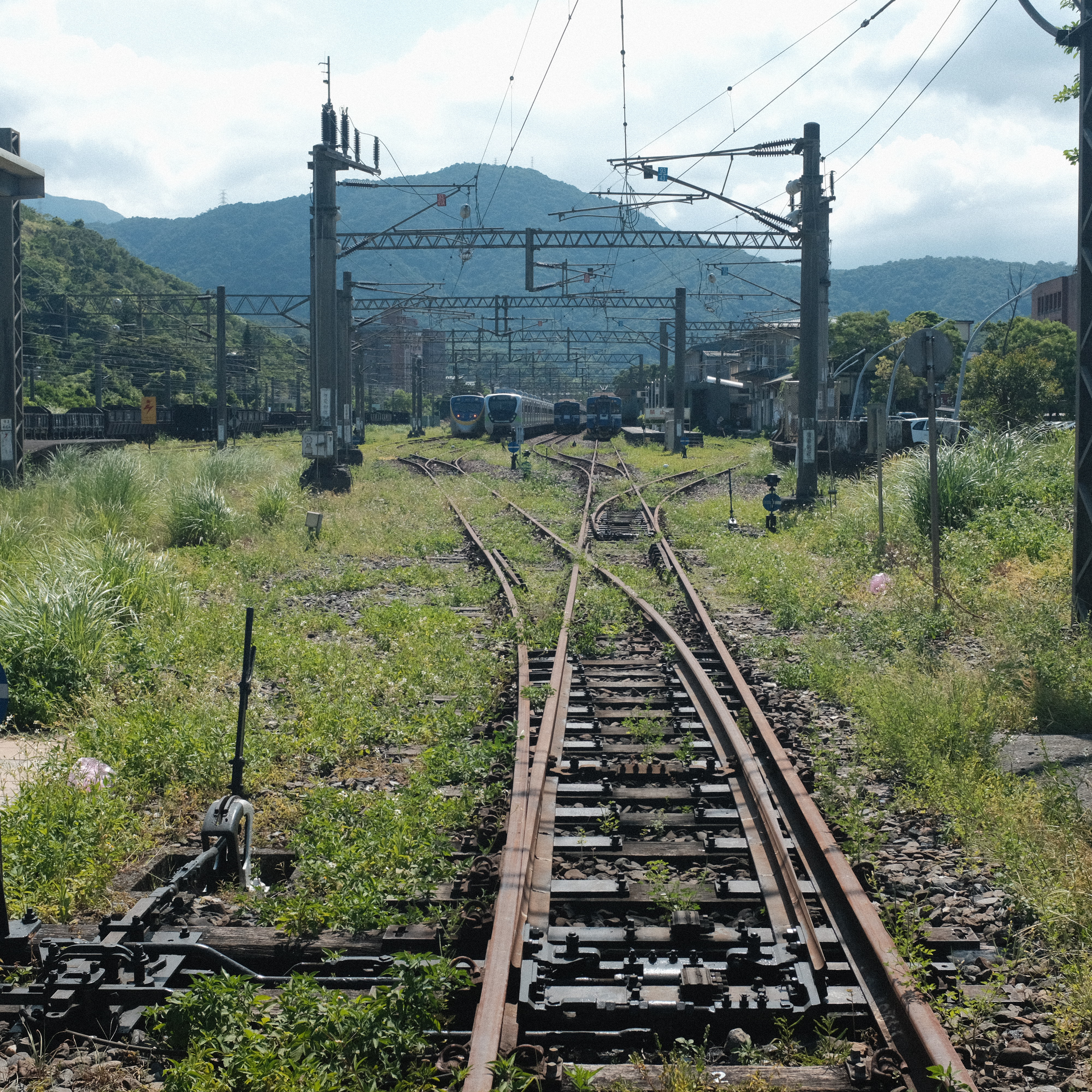 DSCF6537_1.jpeg